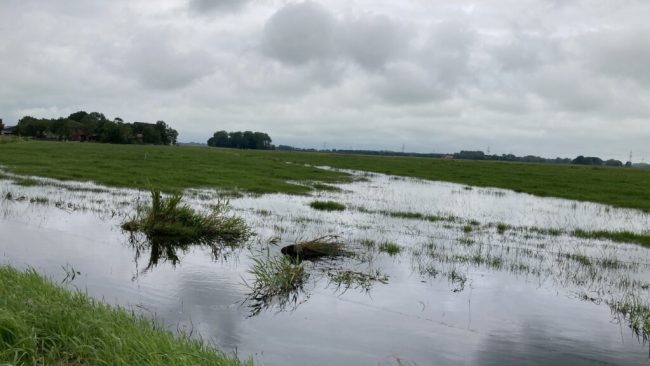 Landwirte kämpfen mit der Nässe auf den Feldern