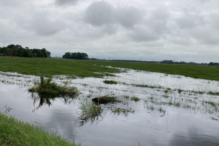 Landwirte kämpfen mit der Nässe auf den Feldern