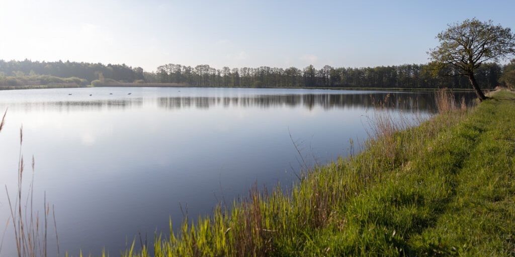 Fisch ist Tradition und neuer Trend zugleich