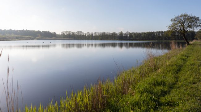 Fisch ist Tradition und neuer Trend zugleich