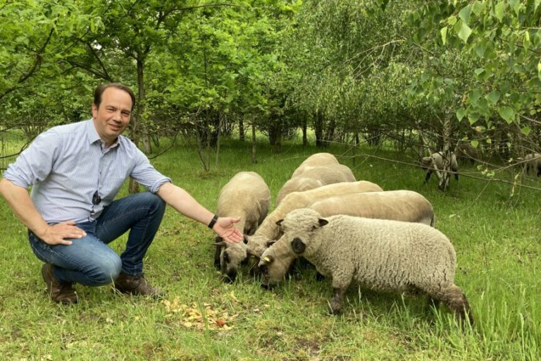Wird 2024 das Jahr der Wölfe oder der Weidetierhalter?