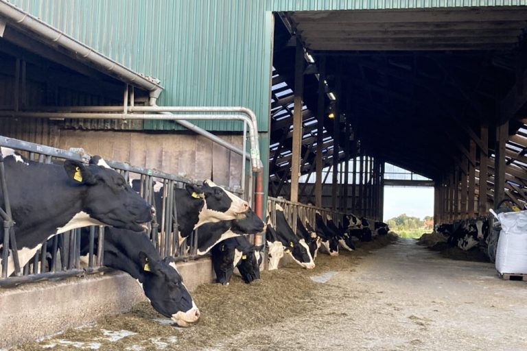 Nachhaltigkeit und Tierwohl rentabel vereinen