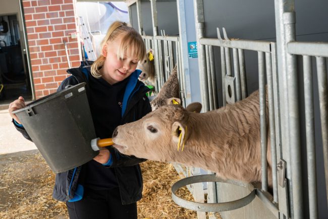 Einblick in den landwirtschaftlichen Berufsalltag