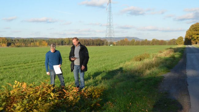 Landwirtschaft will Wegränder für Naturschutz nutzen