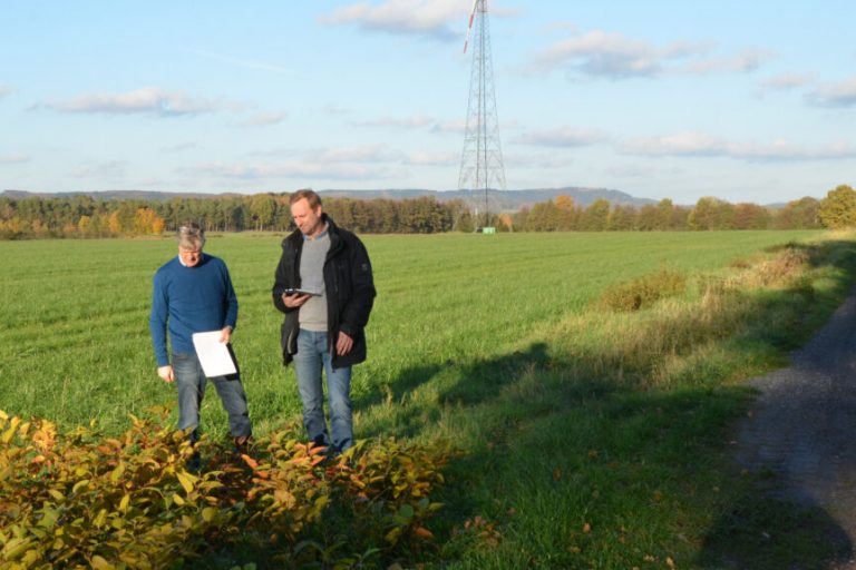 Landwirtschaft will Wegränder für Naturschutz nutzen