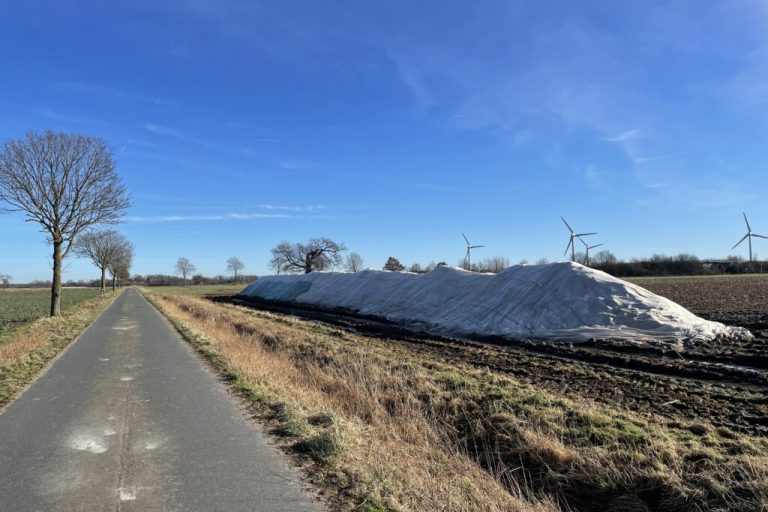 Schwierige Rübenernte und lange Kampagne