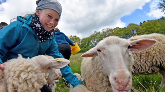 Ferienhöfe bieten buntes Programm für Familien