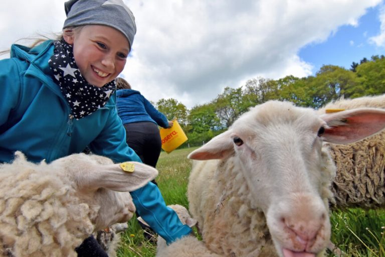 Ferienhöfe bieten buntes Programm für Familien