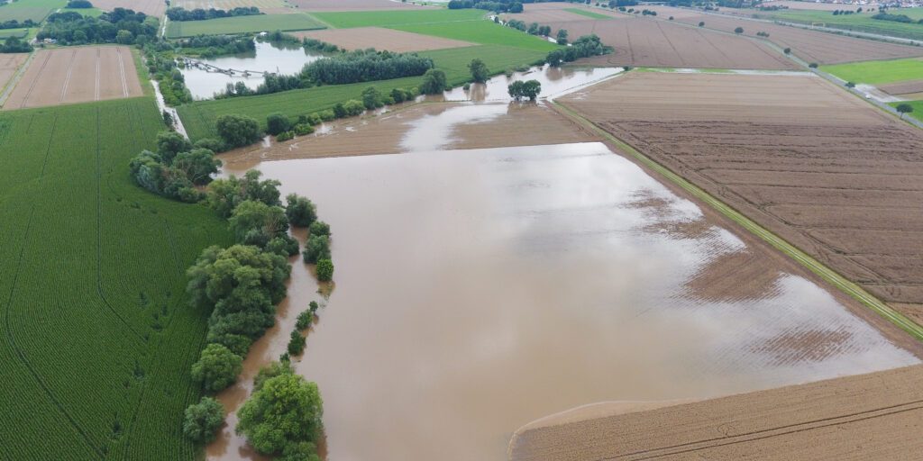 Wohin mit dem Hochwasser-Schwemmgut?