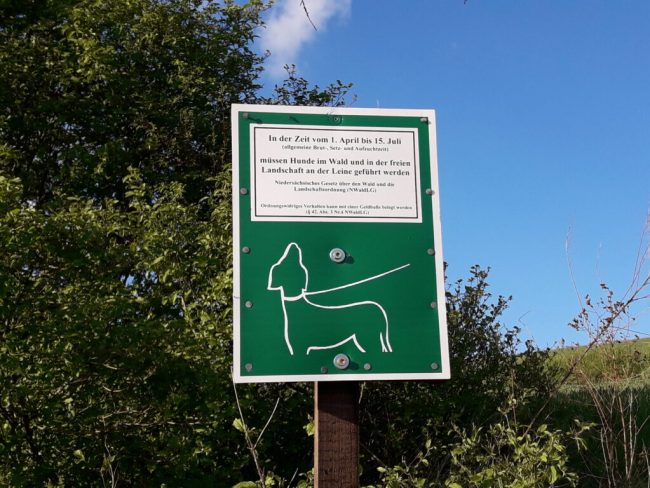 Leinenpflicht schützt die Wildtiere in Feld und Flur