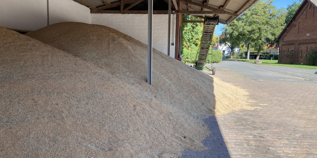 Getreide bildet die Lebensgrundlage vieler Menschen