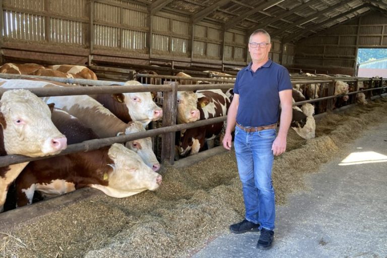 EU-Verordnung zu entwaldungsfreien Lieferketten ist ein Bürokratiemonster