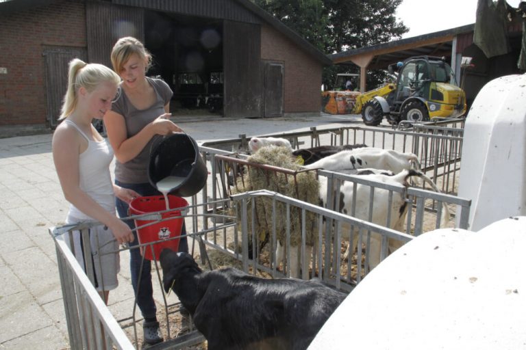 Landwirt für einen Tag sein: Mitmachen und bewerben