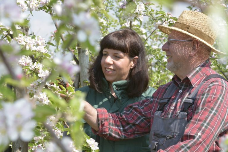 Aus Aloe Vera wird Zahnpasta und Duschgel