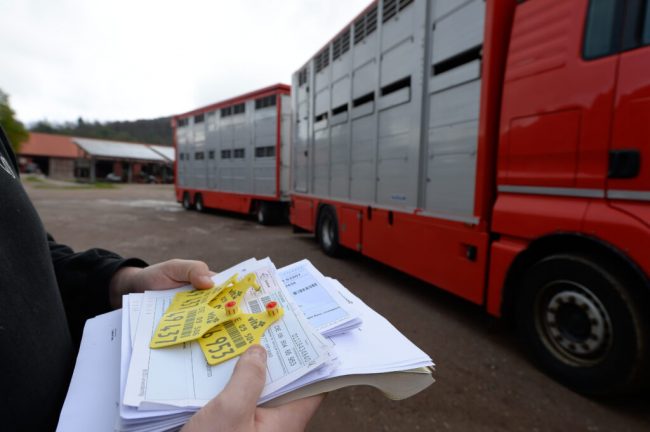 Landvolk kritisiert EU-Verordnung zu Tiertransporten