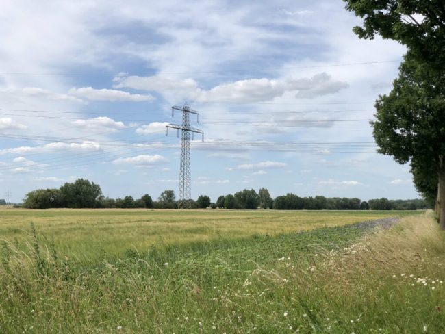 Vereinfachung bei der GAP beschlossen