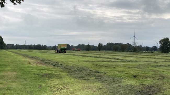 Landvolk: Zweifel bei Moorschutz-Planung bleiben