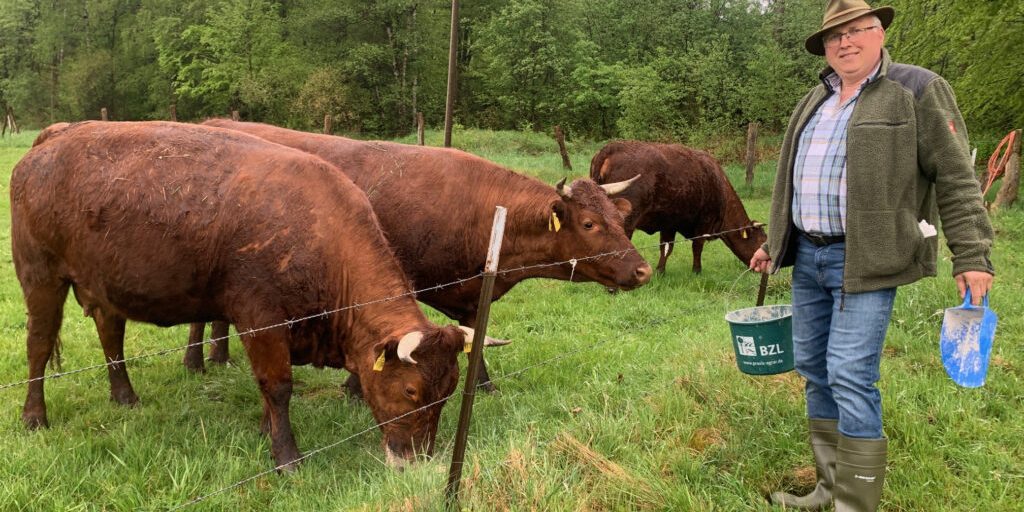 Das einst bedrohte Rote Höhenvieh entwickelt sich gut