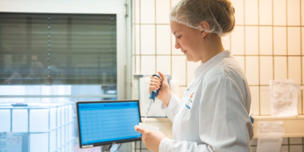 Mit ihrer Hilfe wird aus leckerer Milch leckerer Käse