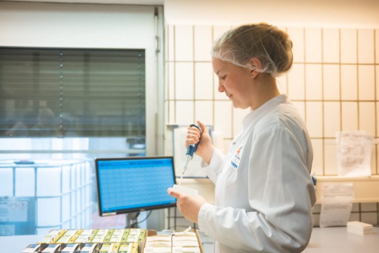 Mit ihrer Hilfe wird aus leckerer Milch leckerer Käse