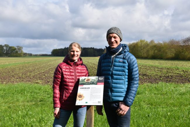 Agri-Photovoltaik ermöglicht „Doppelernte“