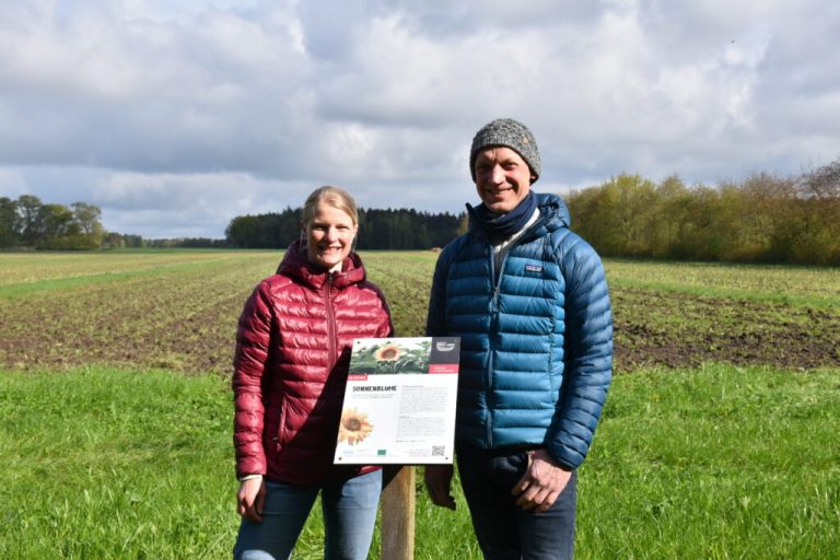 Agri-Photovoltaik ermöglicht „Doppelernte“