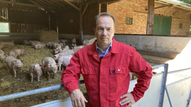 Tierhaltung: Landvolk fordert von EU-Politik vernünftige Verordnungen