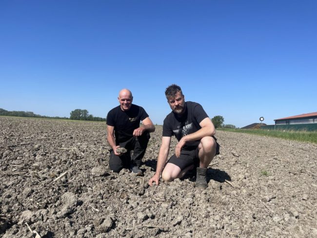 Krähen-Plage wird flächendeckend zum Problem