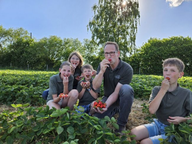 Vom Erdbeerfeld zum Schweinestall und zurück