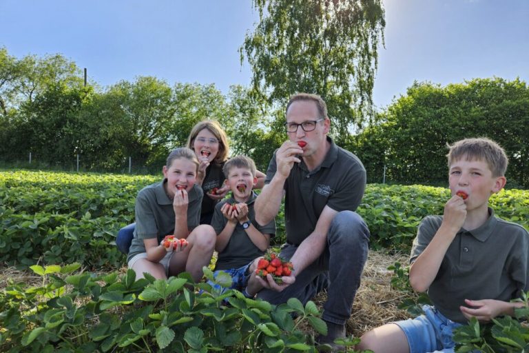Vom Erdbeerfeld zum Schweinestall und zurück
