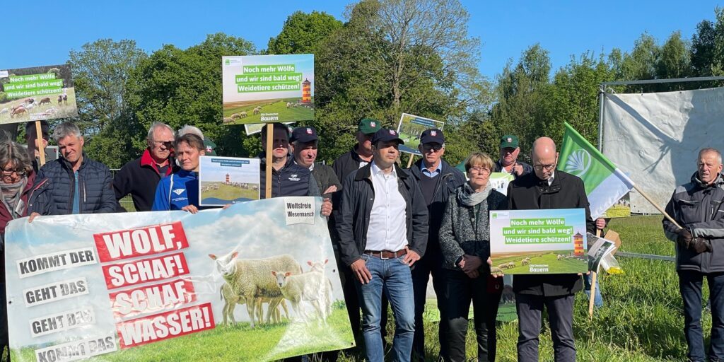 Wie weiter umgehen mit den Wölfen?