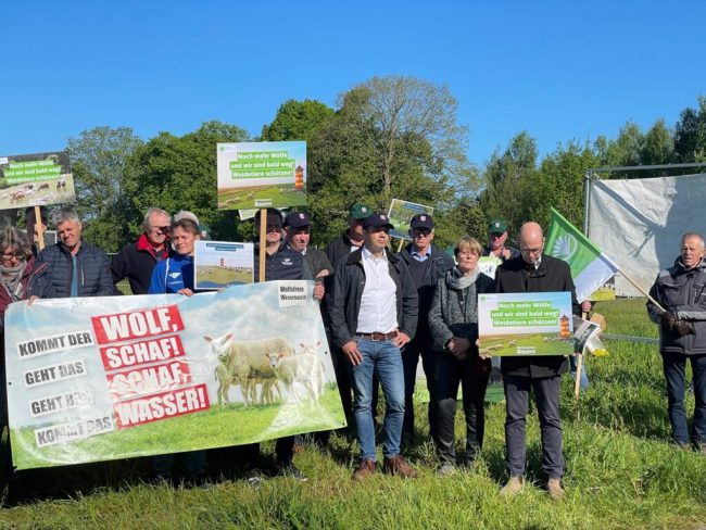 Wie weiter umgehen mit den Wölfen?