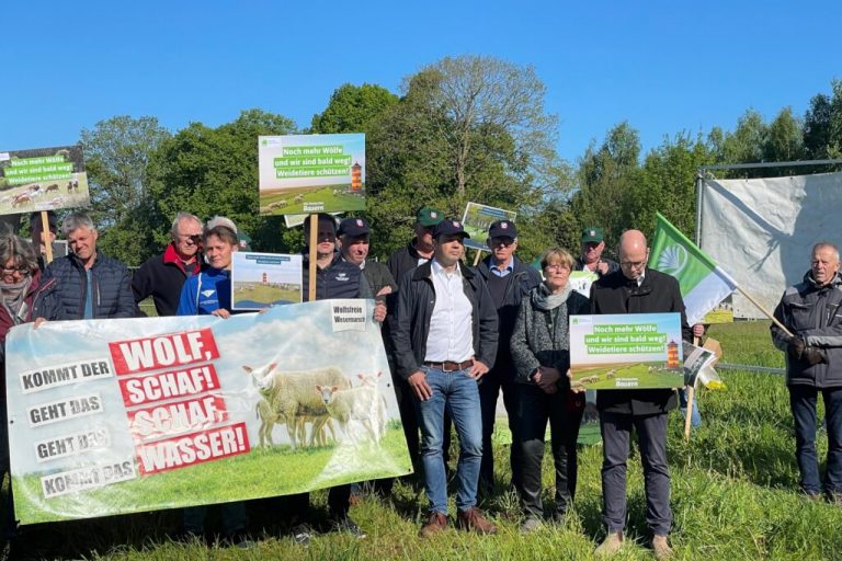 Wie weiter umgehen mit den Wölfen?