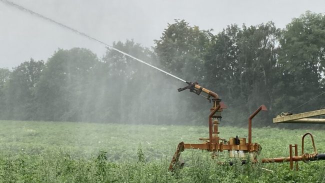 Landvolk: Lebensmittel müssen Vorrang haben
