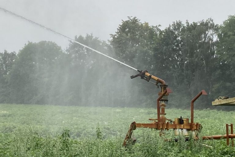 Landvolk: Lebensmittel müssen Vorrang haben