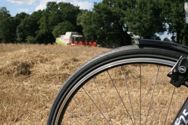 Im Sommer mit dem Rad durch Feld und Flur