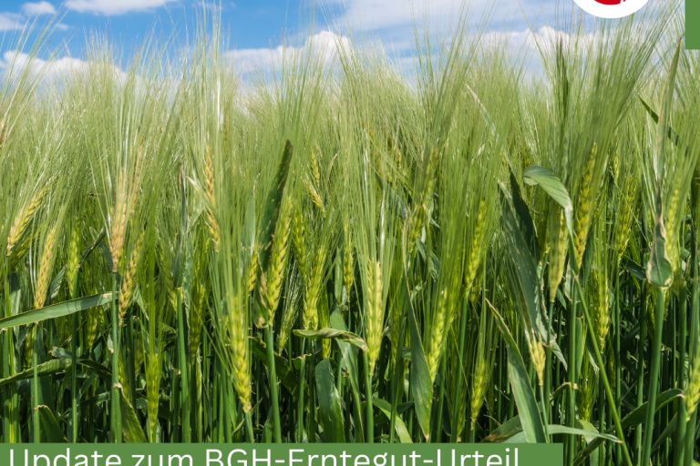 20240613_BGHUrteil_Nachbau