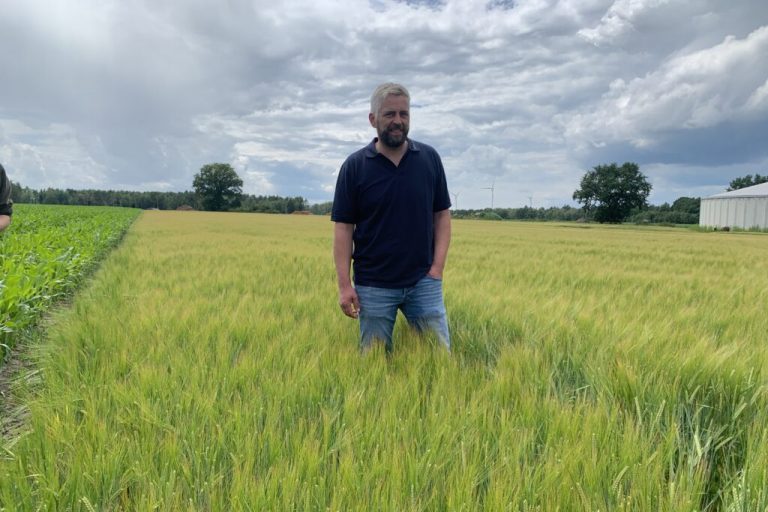 Die Sonne sowie wirksame Pflanzenschutzmittel fehlen