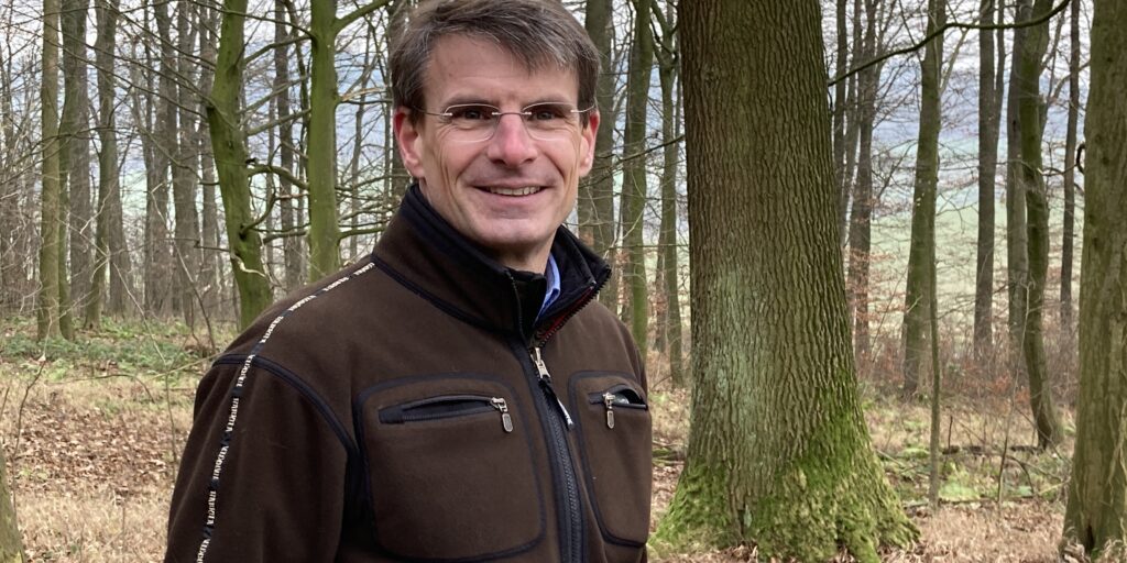 Niedersachsens Wald retten: Online-Petition unterschreiben