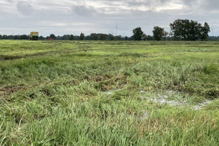 Landvolk kritisiert neue Moorgebietskulisse