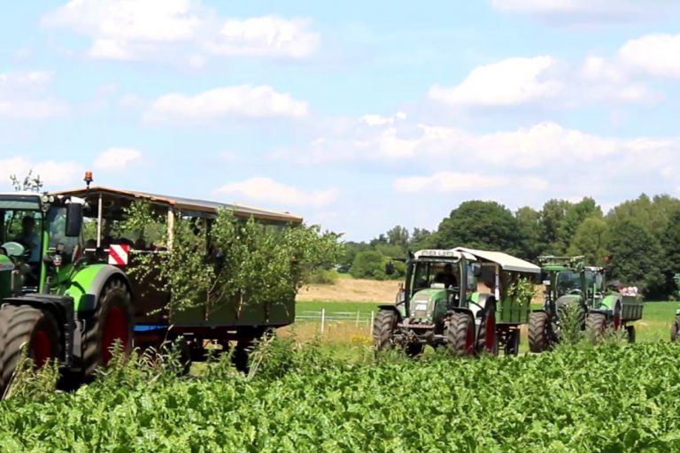 Feldrundfahrt-trecker