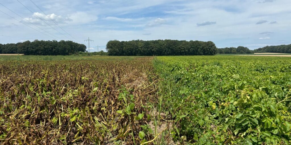Pflanzenschutz ist für Landwirtschaft unverzichtbar