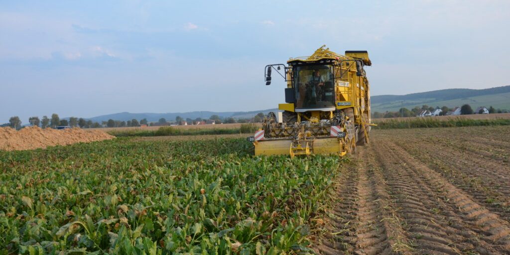 Rübenernte beginnt außergewöhnlich früh