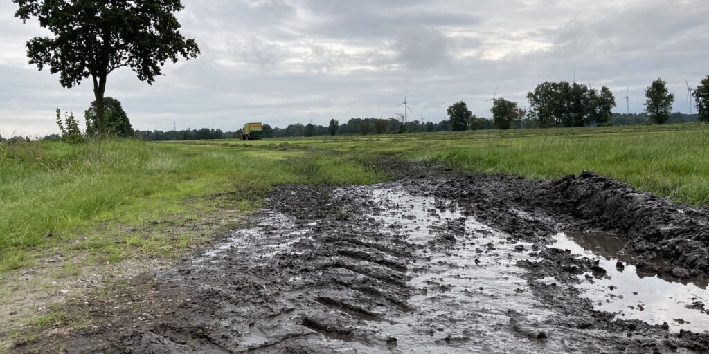 Schwierige Grasernte im Norden Niedersachsens