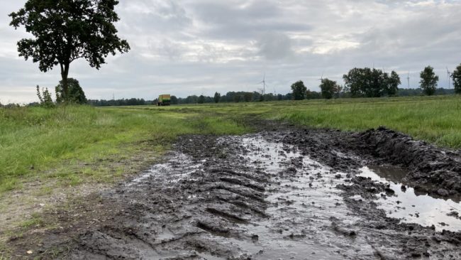 Schwierige Grasernte im Norden Niedersachsens