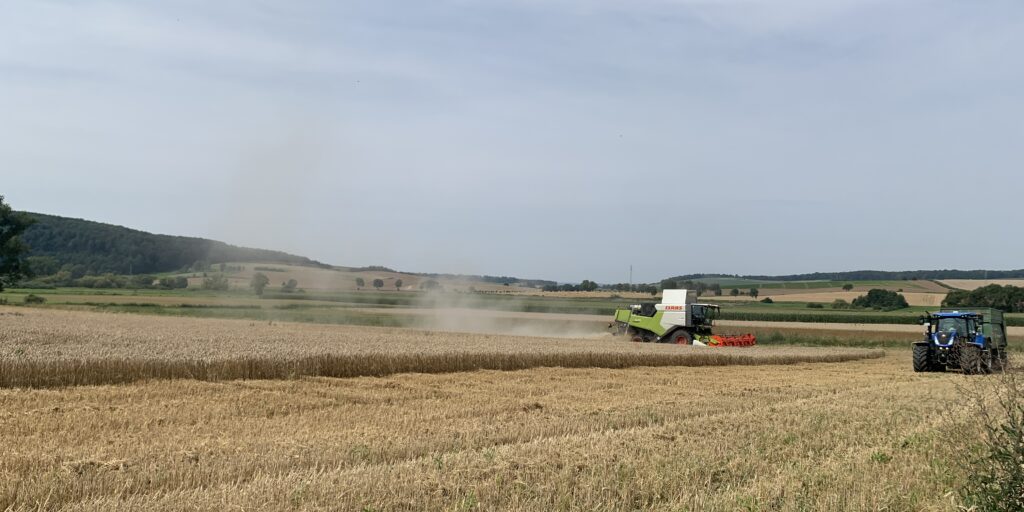 Ernte 2024 in Niedersachsen nahezu abgeschlossen