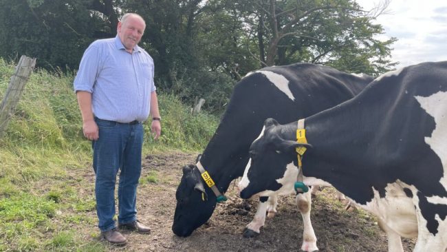 Landvolk begrüßt Härtebeihilfe bei Blauzungenkrankheit