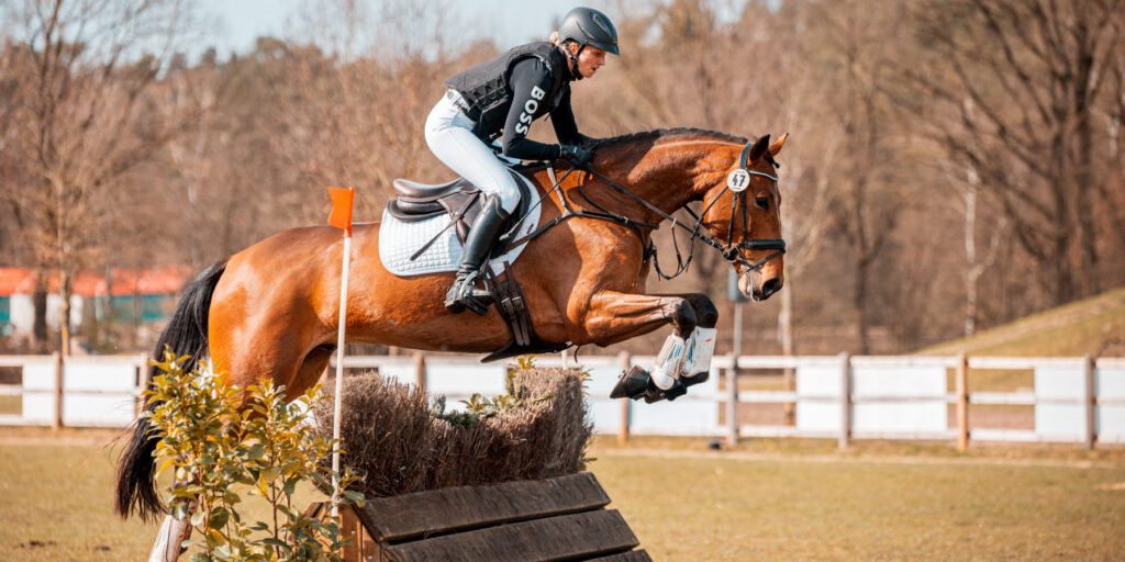 „Pferde sind meine Lieblingstiere“