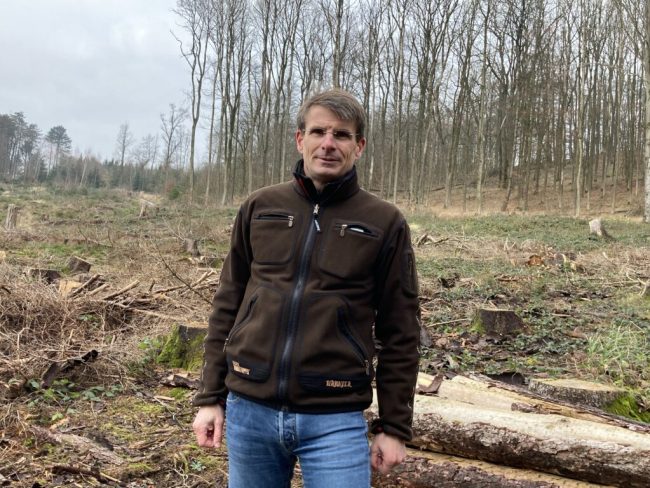 Zukunft Wald: Gute Gesetze bedürfen keiner Novelle