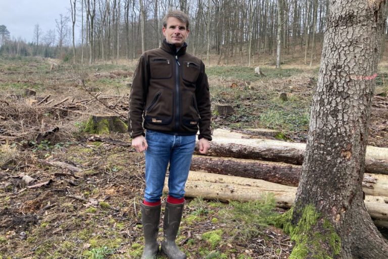 Handlungsfreiheit für bessere Wälder nötig